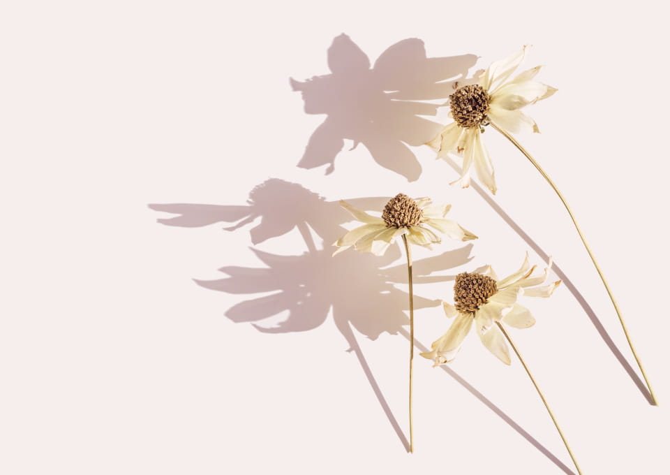 サロンのイメージ画像2